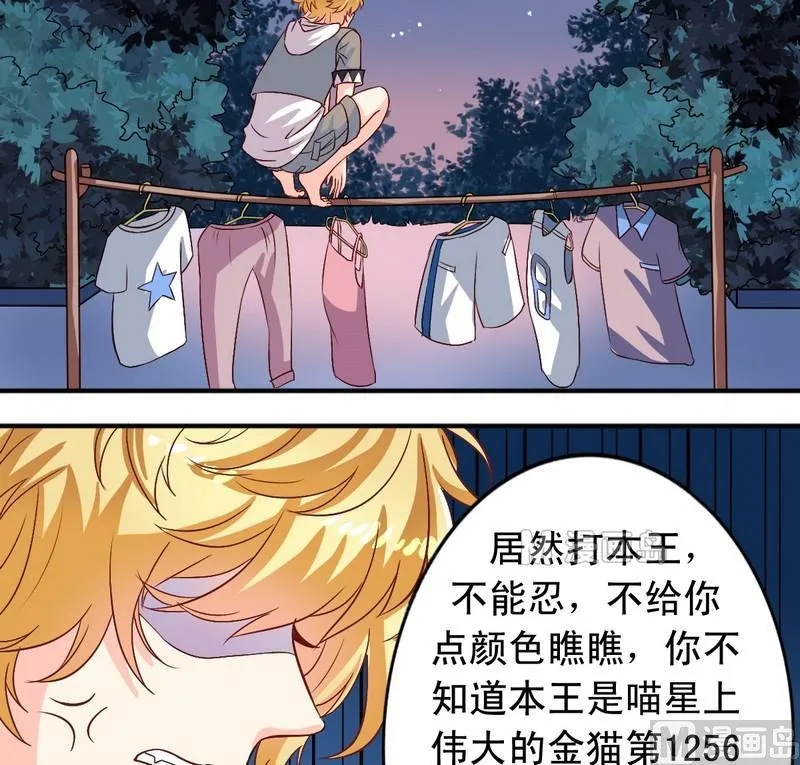 第11话 王喵要报复 第3页