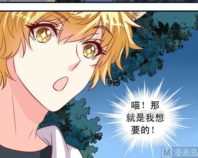 第11话 王喵要报复 第8页