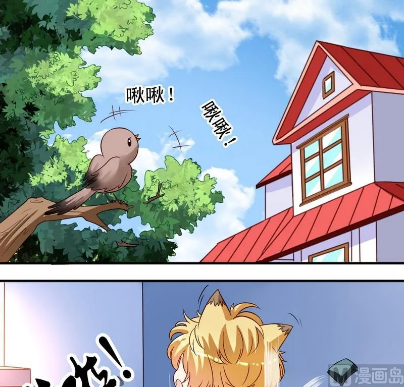 第11话 王喵要报复 第17页