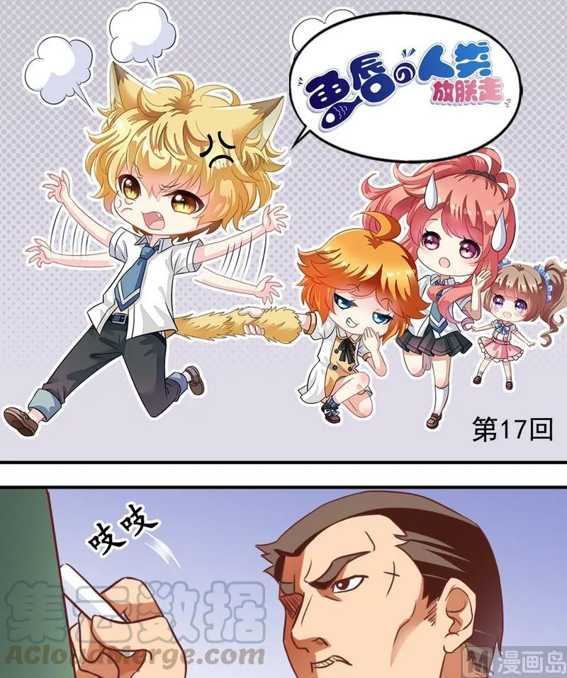第17话 地中海式秃头 第1页
