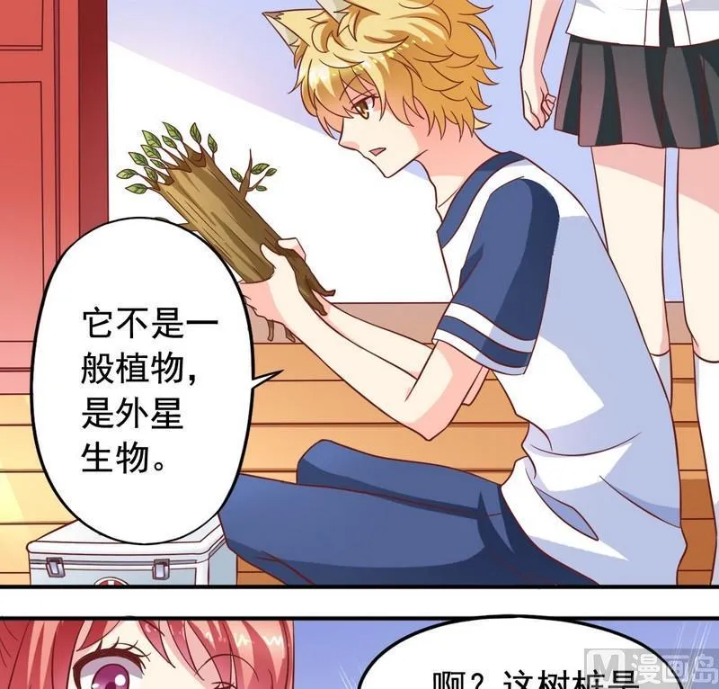 第24话 外星植物 第16页