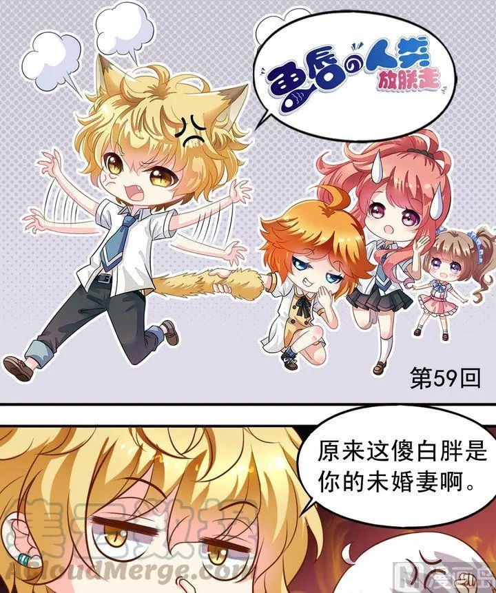 第59话 回去就结婚 第1页
