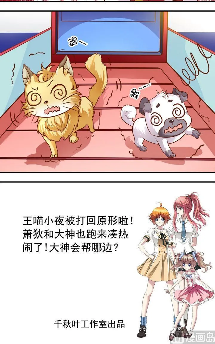 第60话 变成动物 第12页