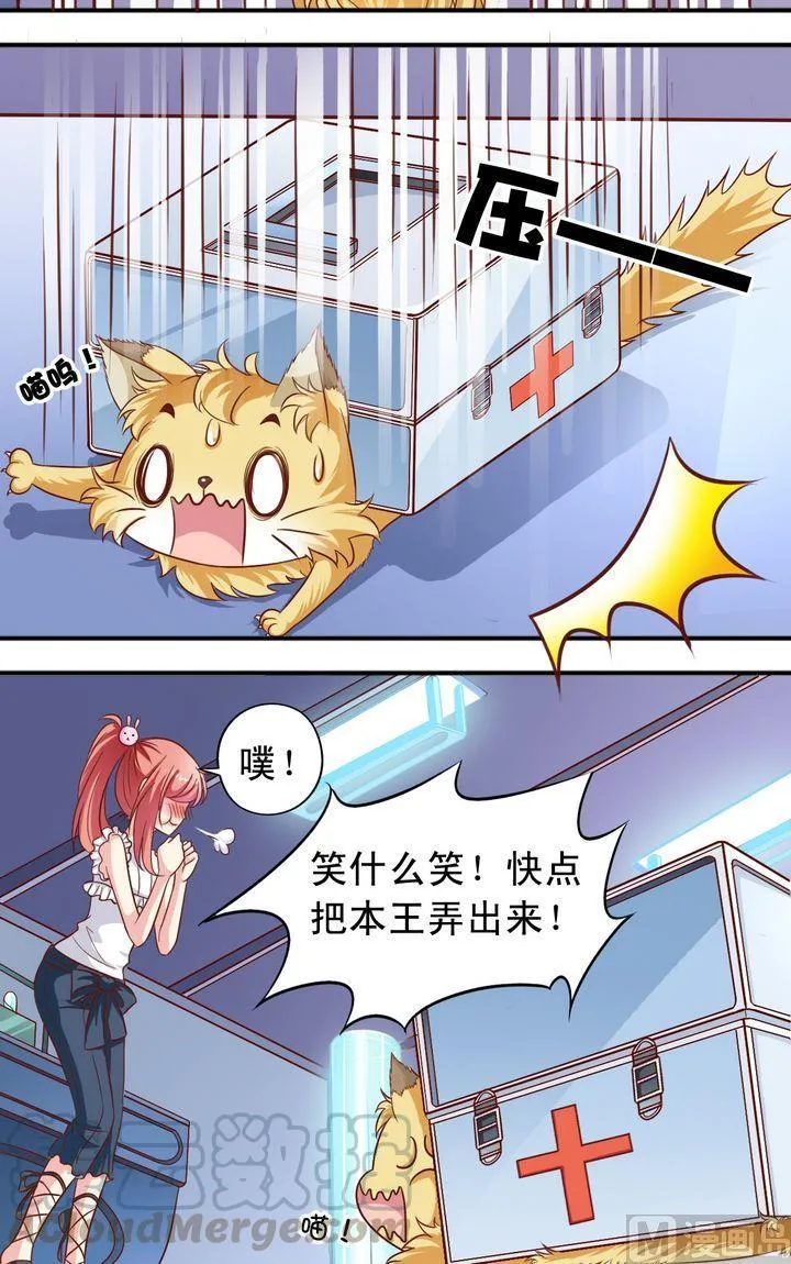 第64回 受伤了 第11页