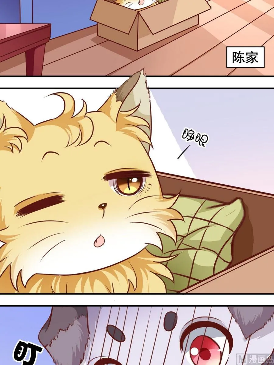 第70话 一见钟情 第5页