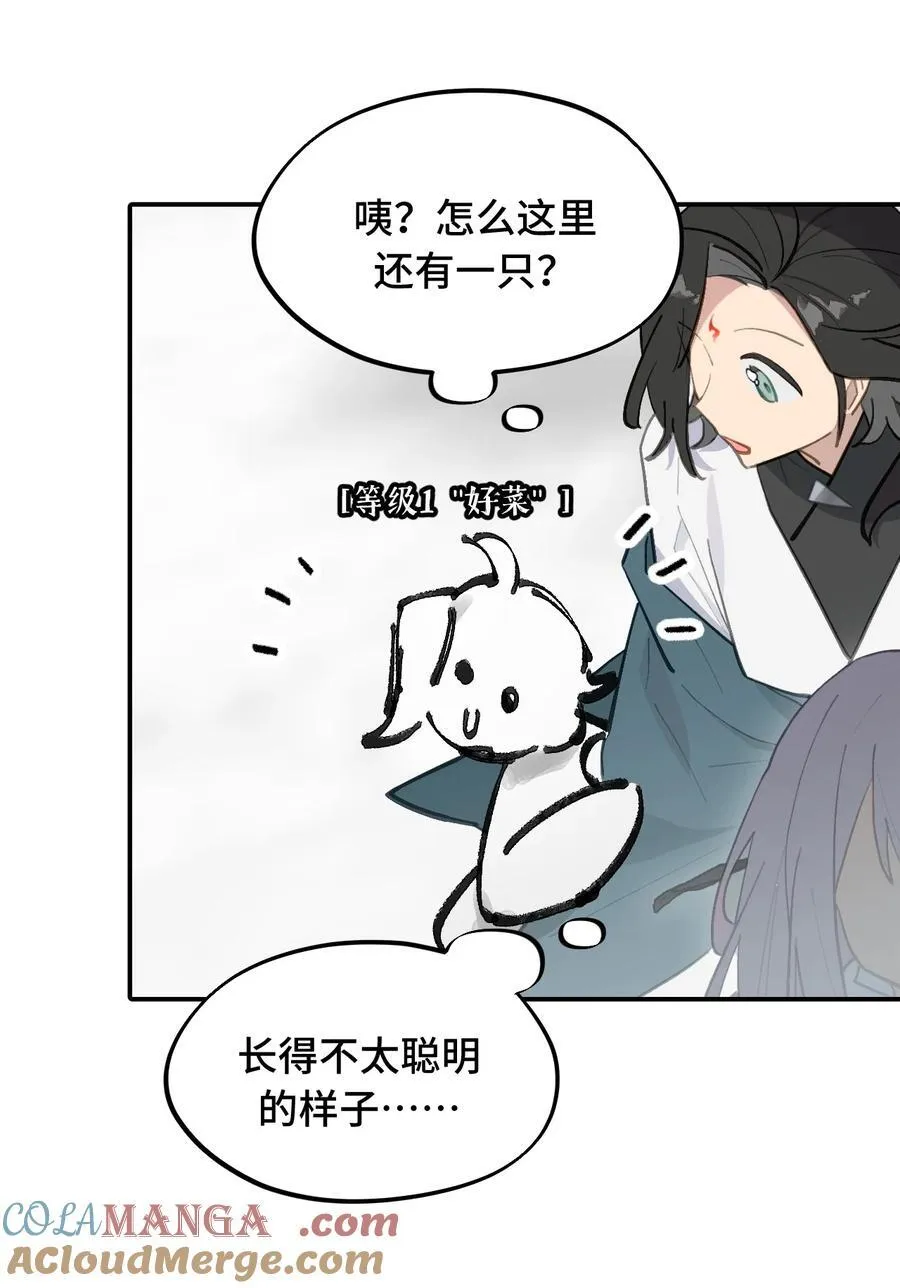 048 “俺寻思能飞” 第13页