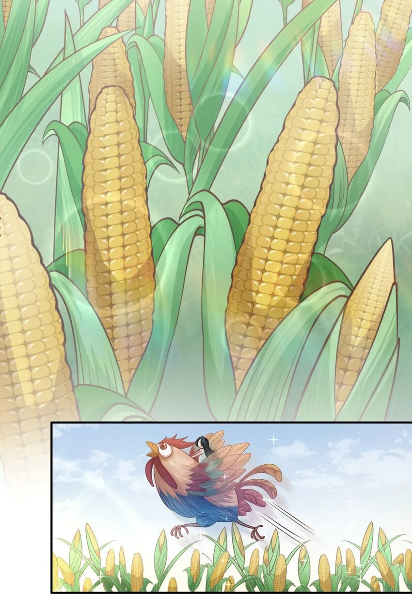 004餐 战斗鸡! 第21页
