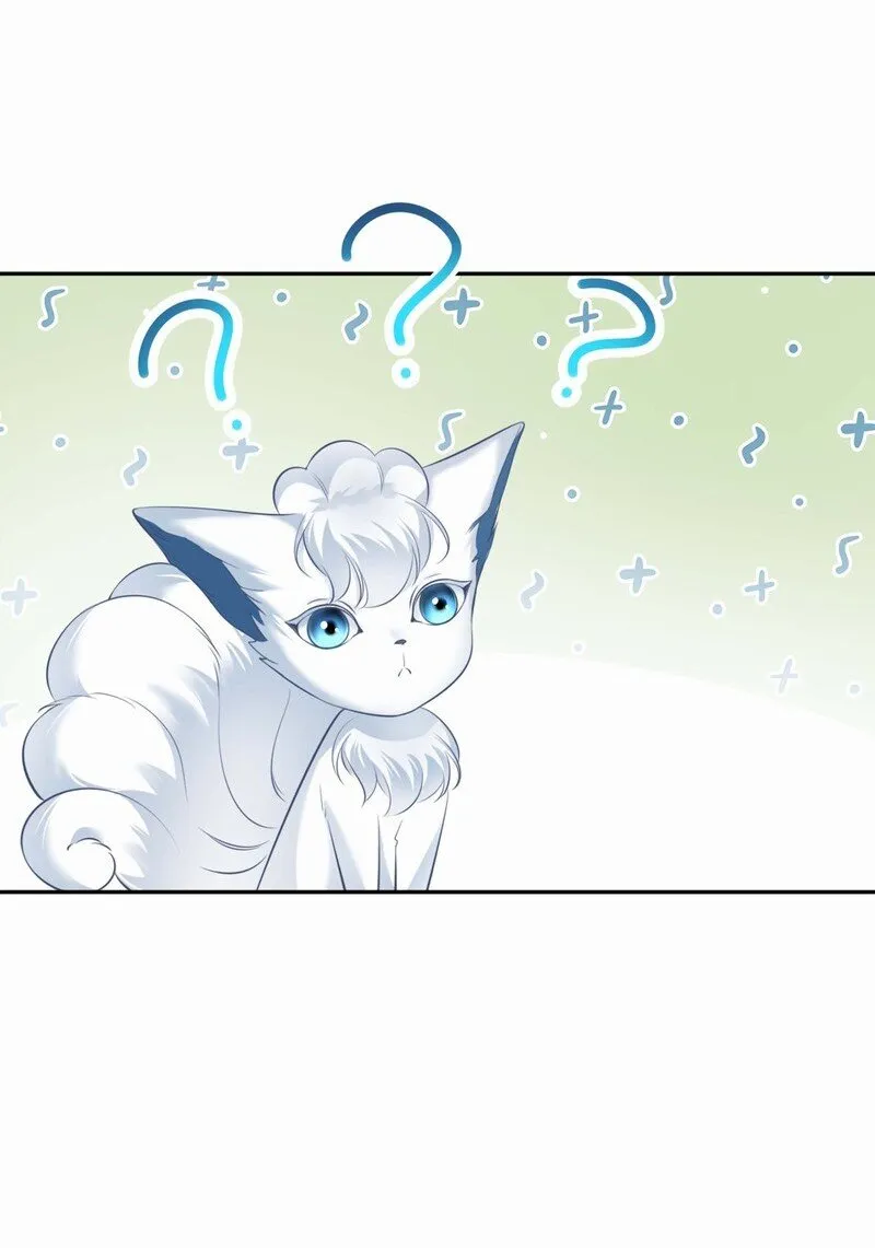 003餐 计划失败？ 第32页