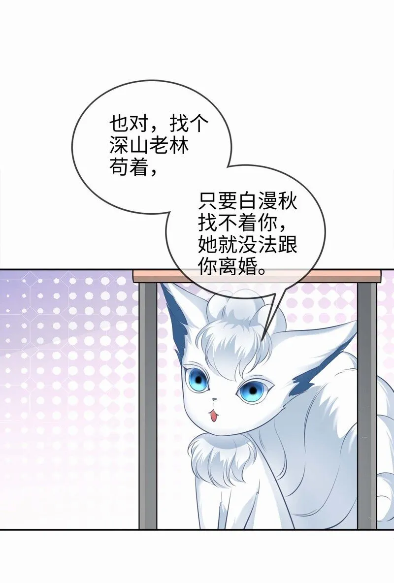 003餐 计划失败？ 第34页