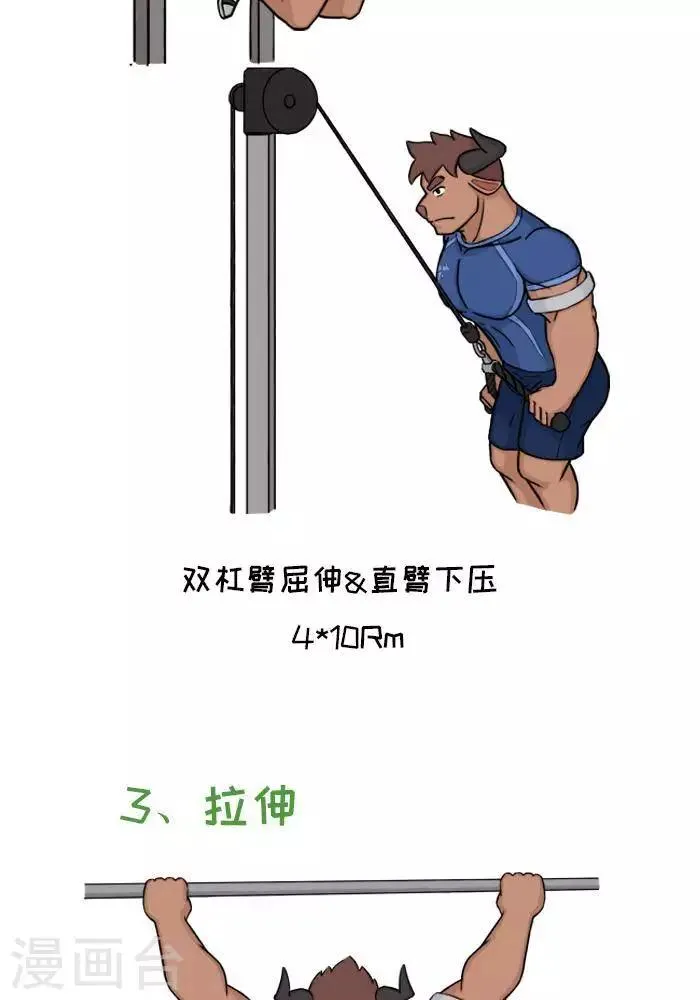 番外7 大牛胸背超级组 第5页