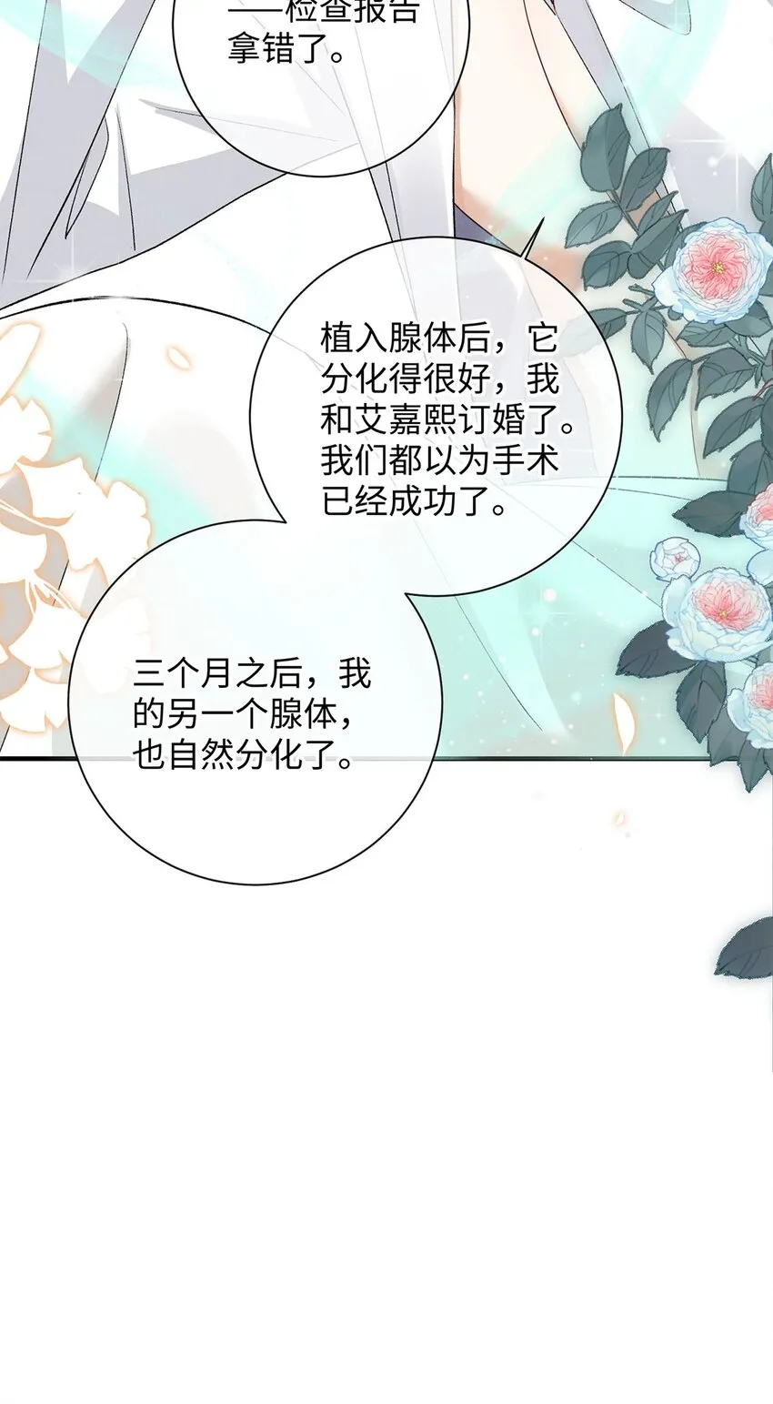 24 另一个腺体 第33页