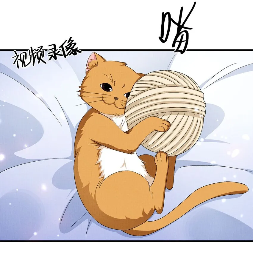 18 是我的自欺欺人 第4页