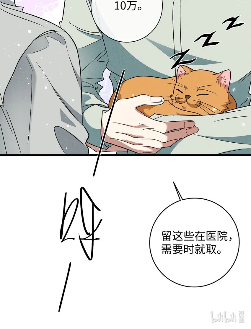 12 寄养 第33页