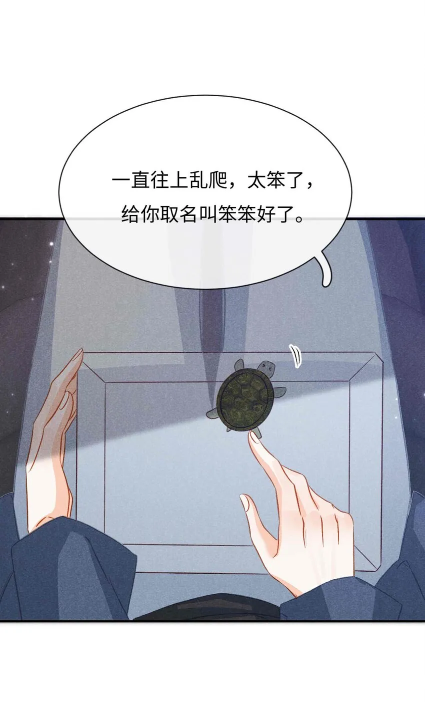 034 第三十四话 呆呆和笨笨 第19页