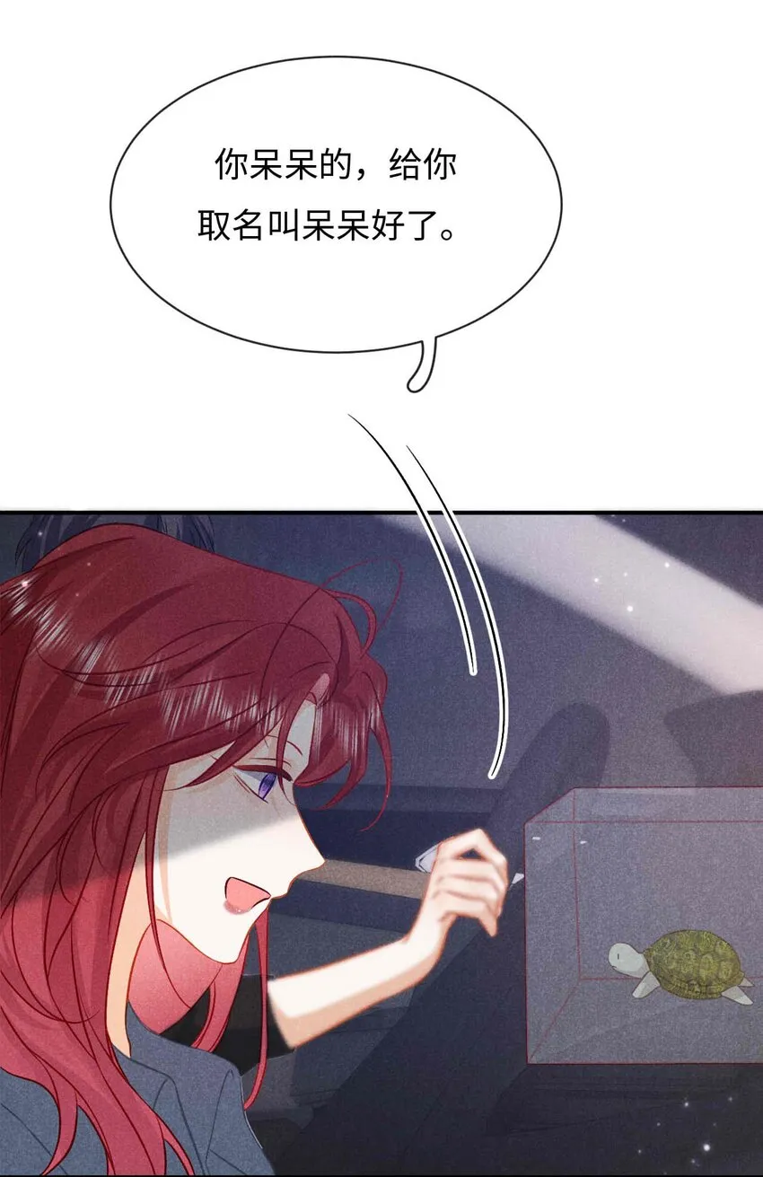 034 第三十四话 呆呆和笨笨 第21页