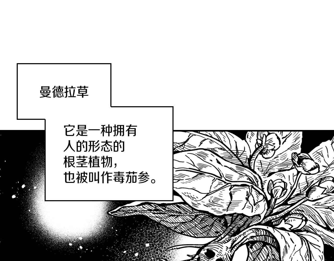 第38话 曼德拉草 第22页