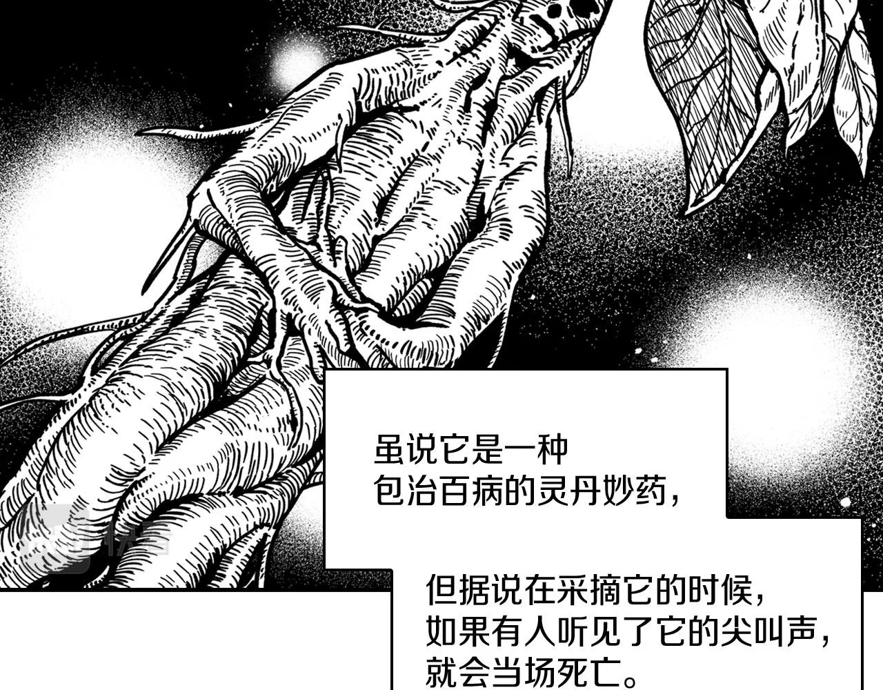 第38话 曼德拉草 第23页
