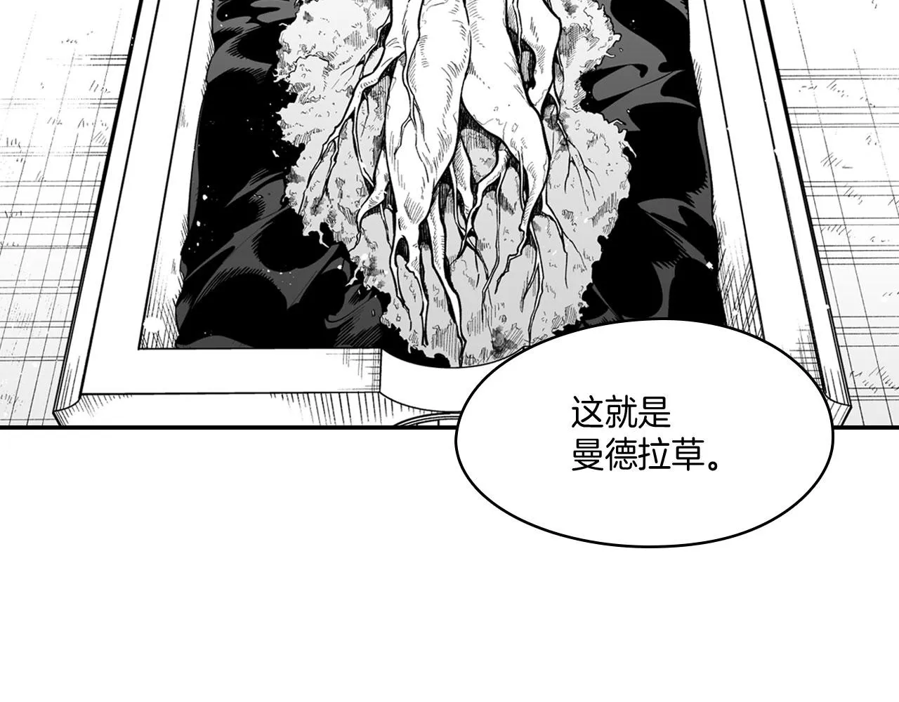 第38话 曼德拉草 第30页