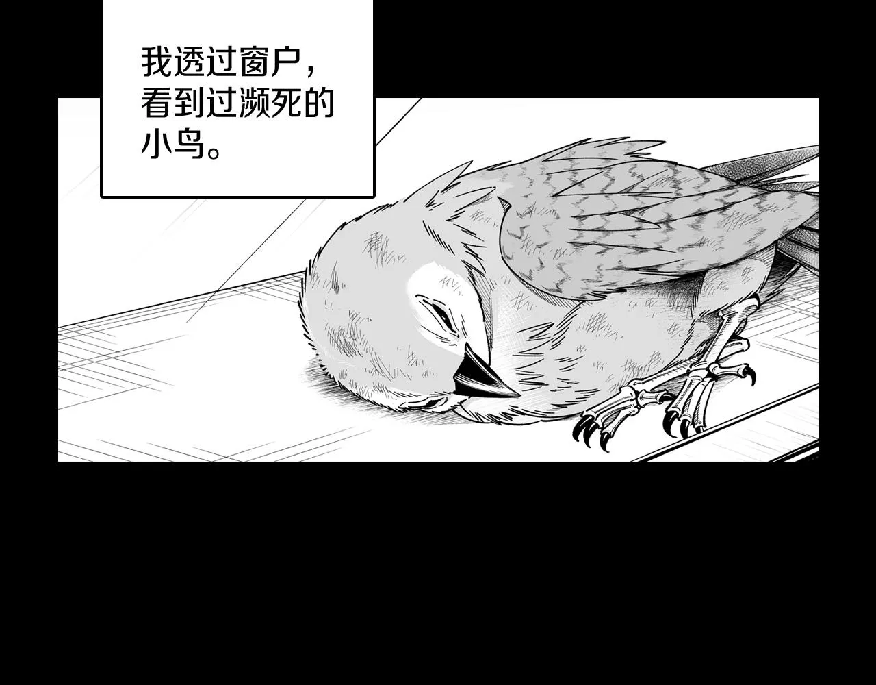 第75话捕获完毕 第20页