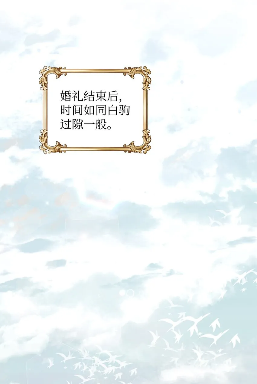 16 梦中的婚礼 第46页