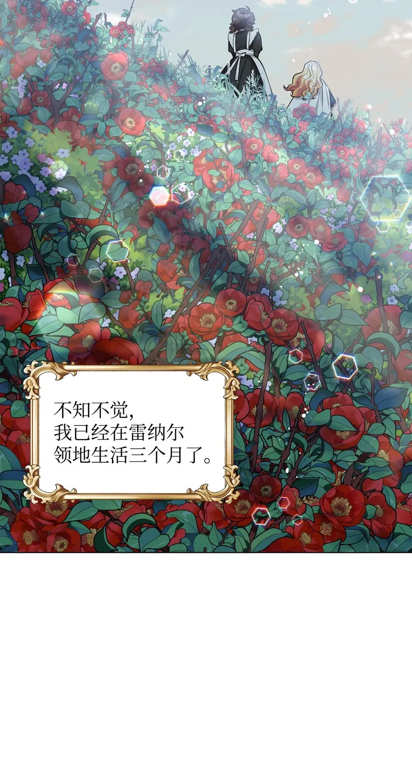 17 公爵的秘密 第12页