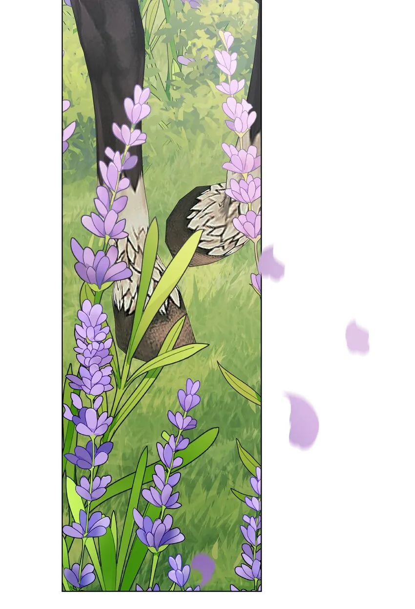 33 蓝色裙子 第104页