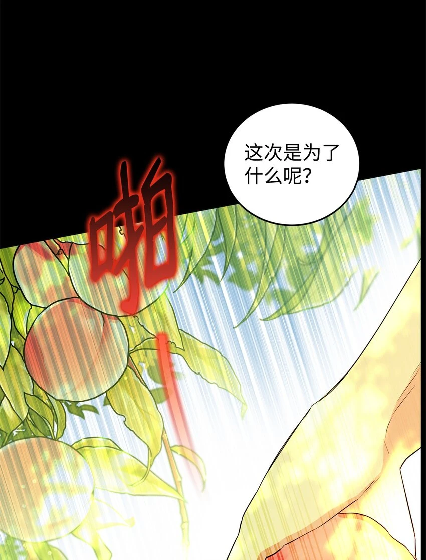 41 重生的关键 第92页