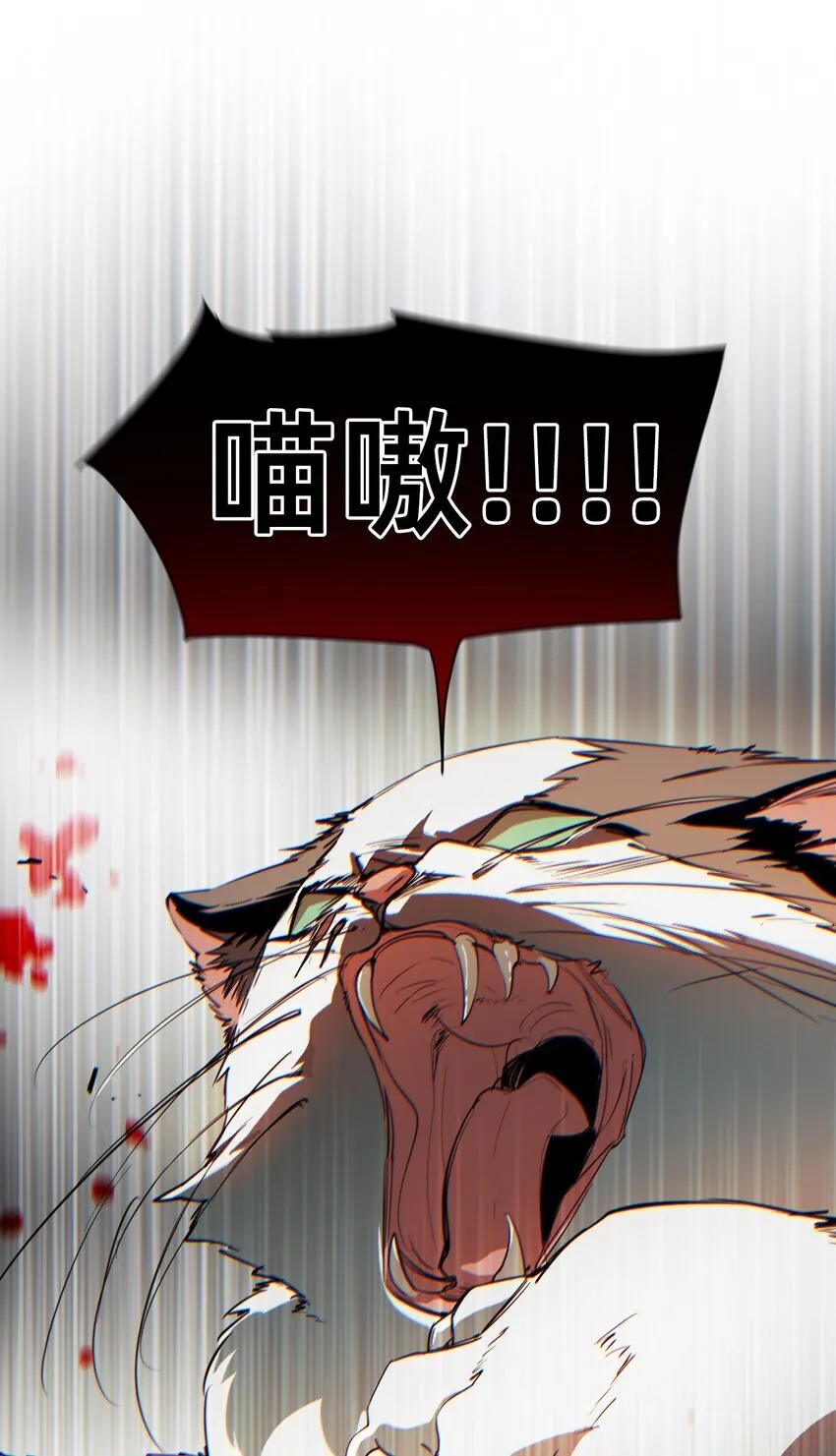 13 成为猫（下）+卷间休息 第24页