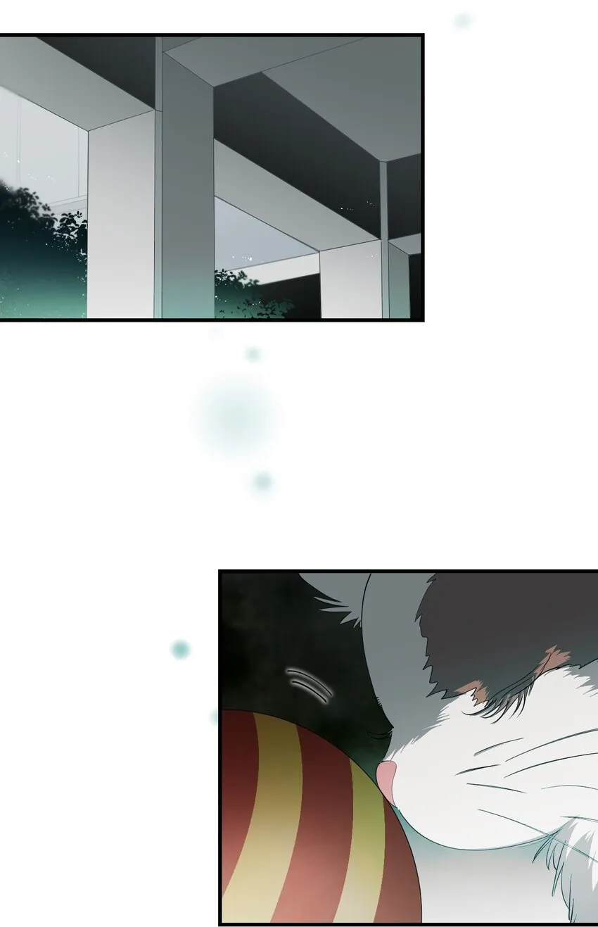 11 成为猫（上） 第38页