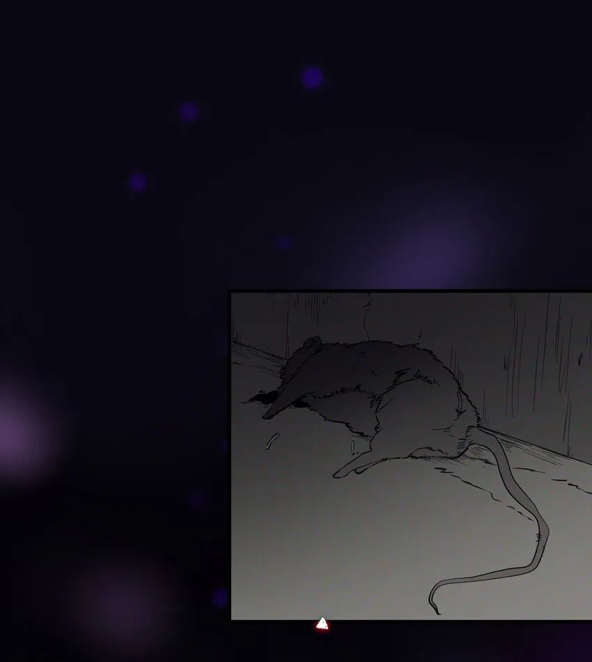 08 特权 第12页