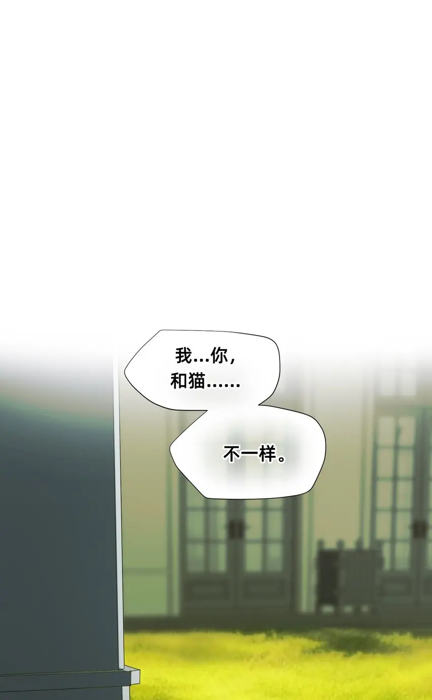 09 成为猫（下） 第3页