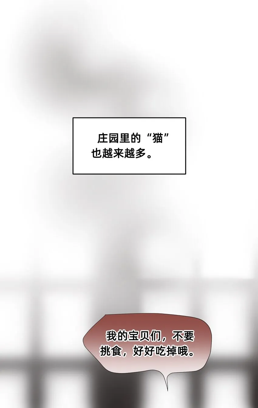 08 成为猫（中） 第11页