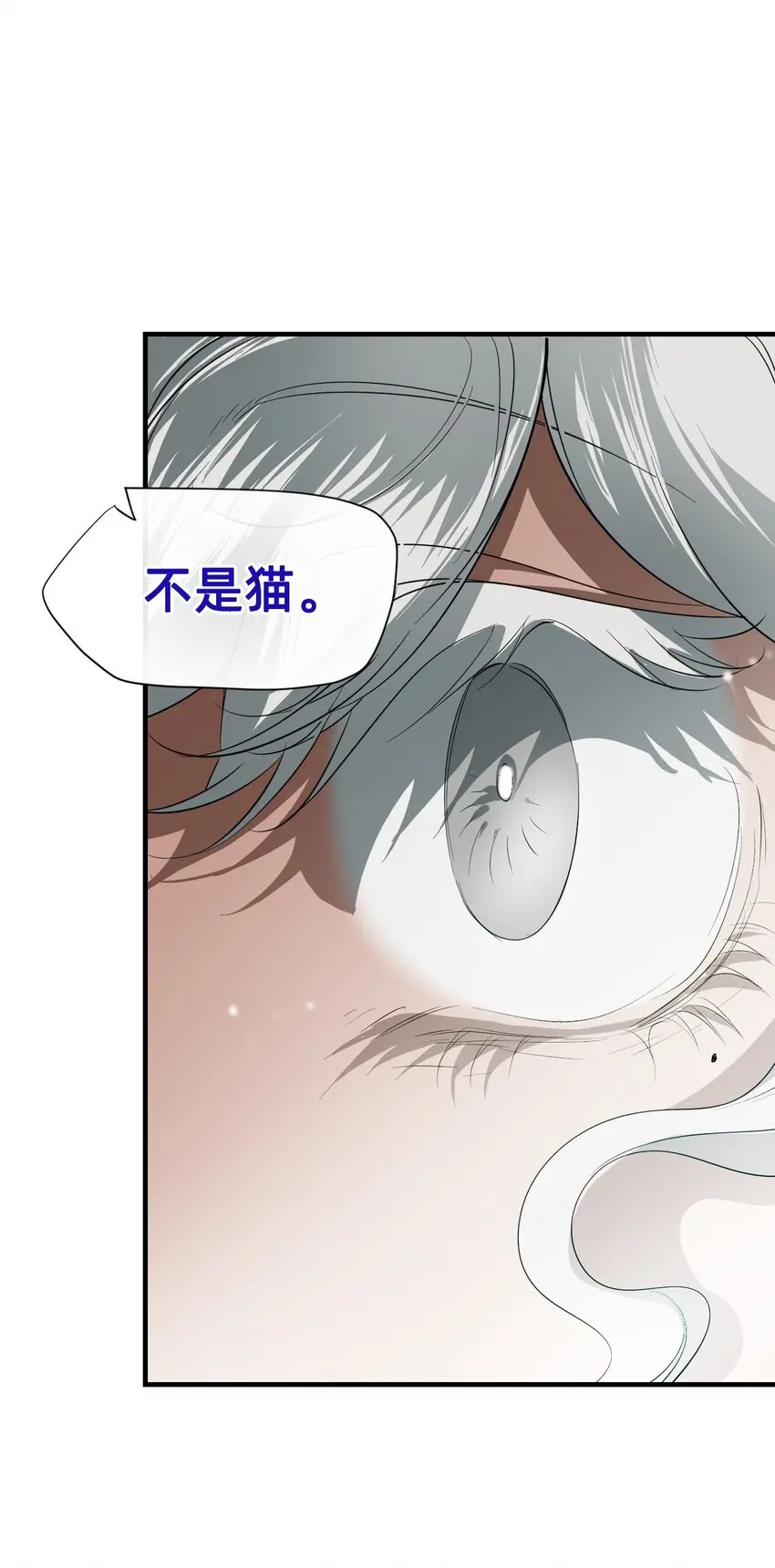 08 成为猫（中） 第91页