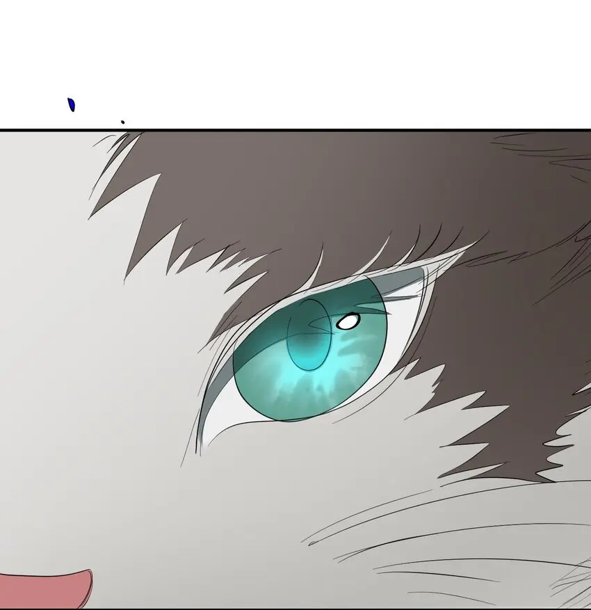 05 融入 第52页