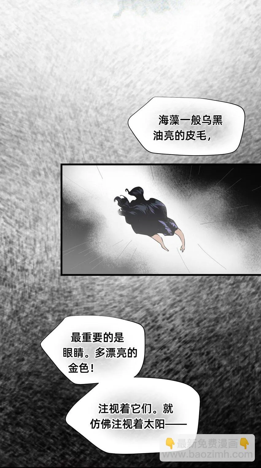01 爱丽丝 第13页