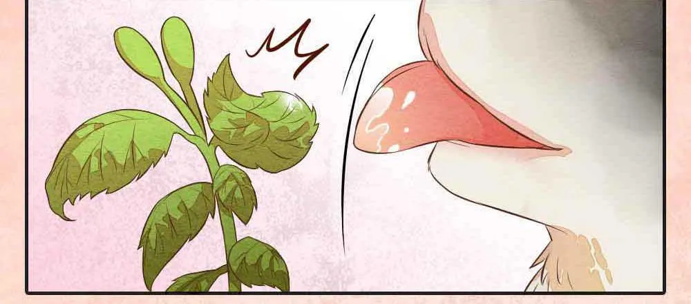 【番外】狼妖龙葵草番外 第11页