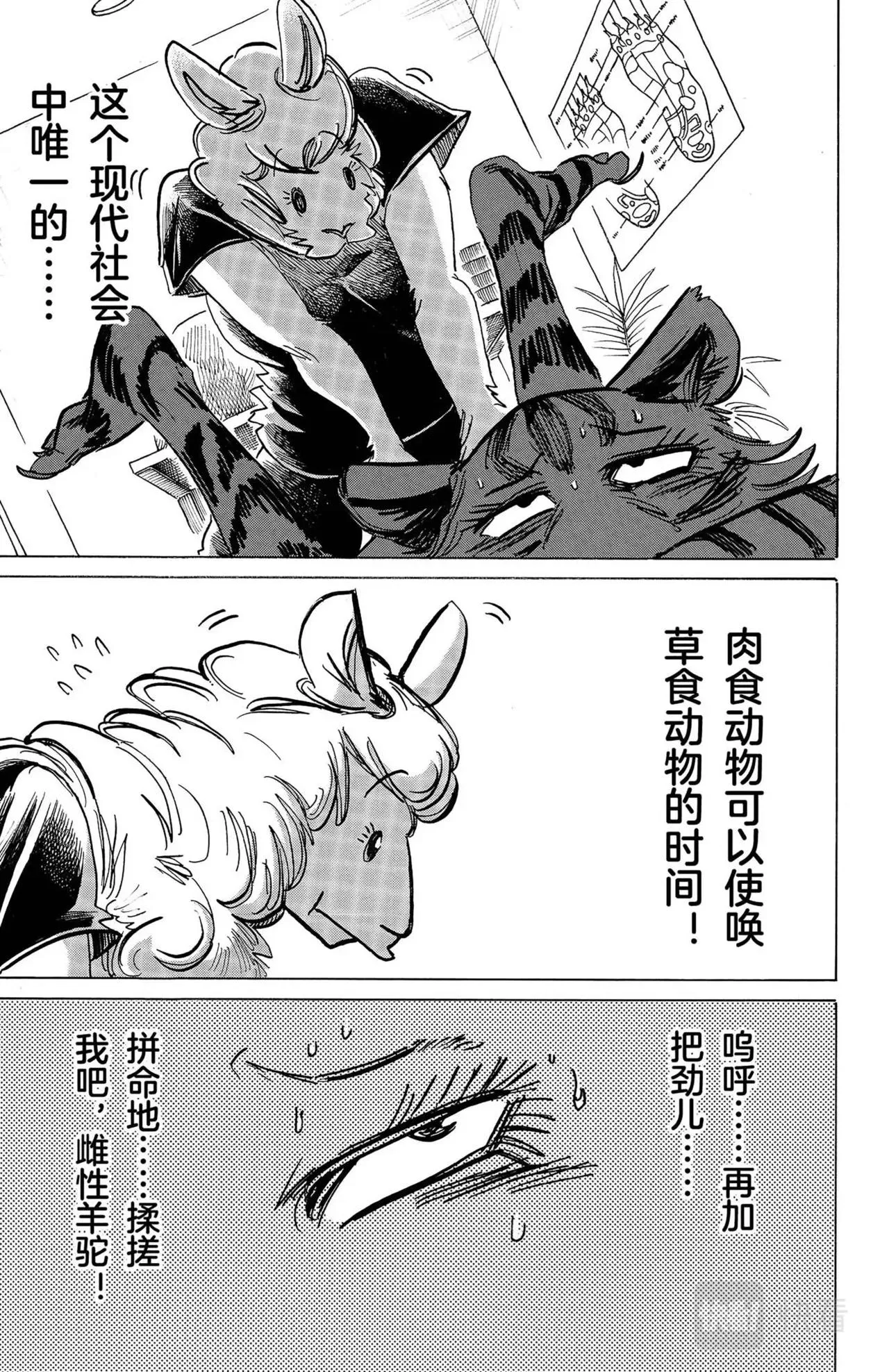 第16话 老虎与羊驼 第5页