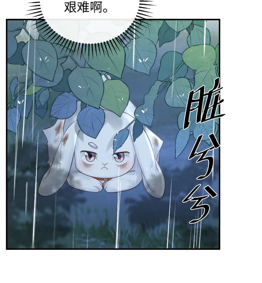第四话 捡个可爱回家 第14页