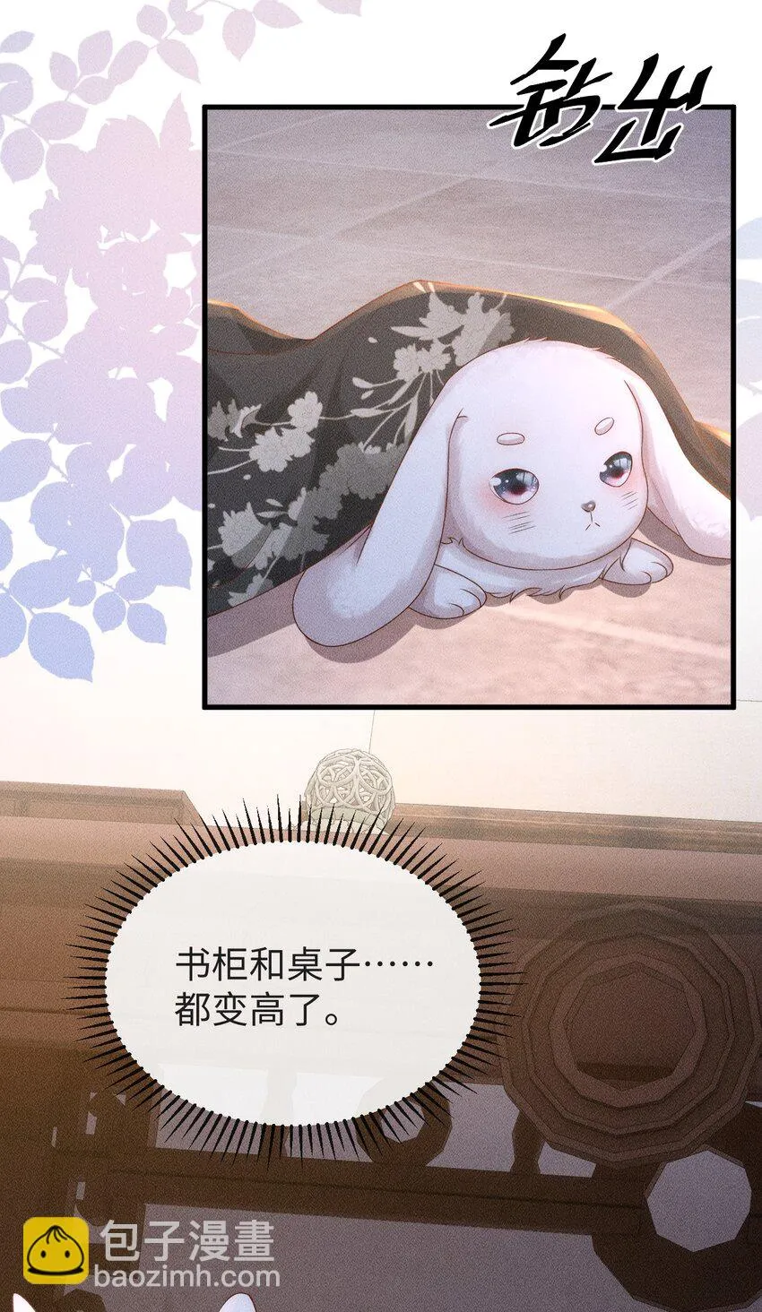第三话 变成兔子了？！ 第39页