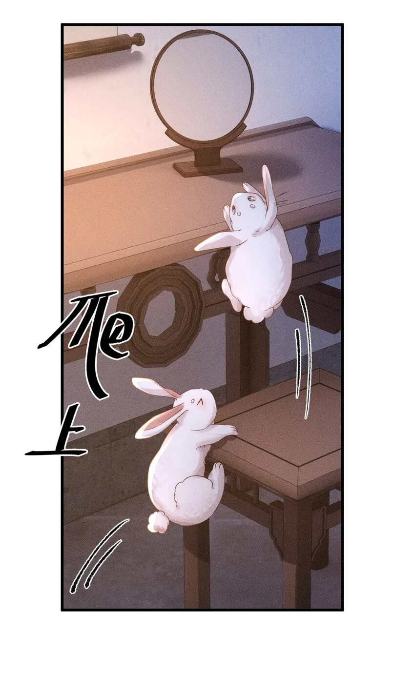 第三话 变成兔子了？！ 第41页