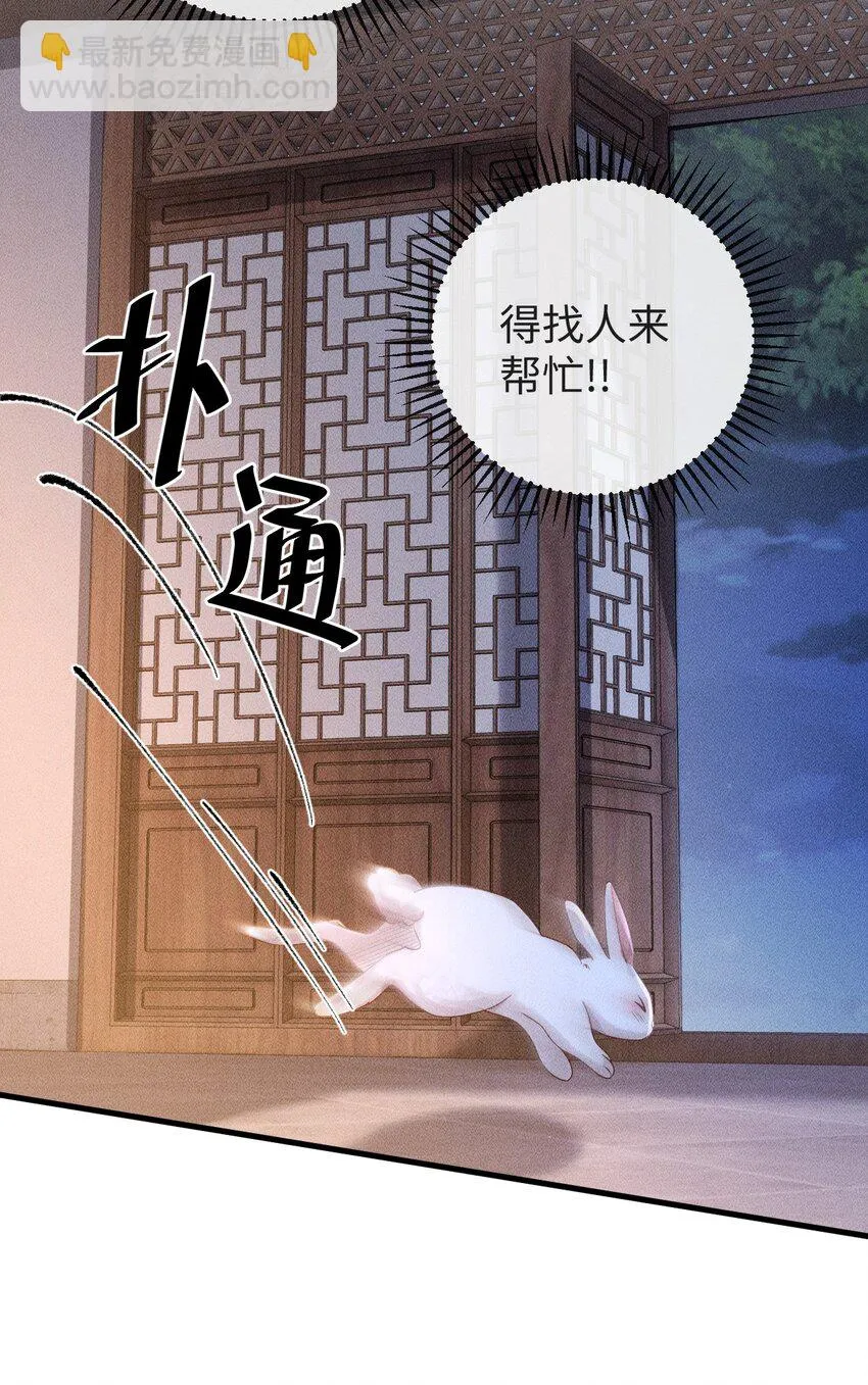 第三话 变成兔子了？！ 第43页