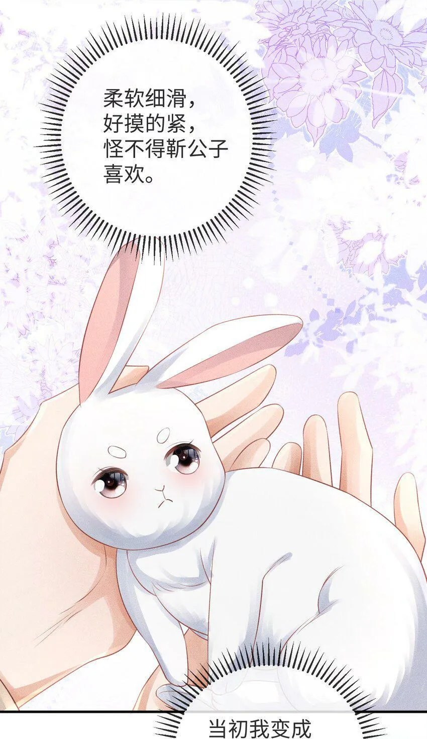 第18话 炖兔子？ 第20页