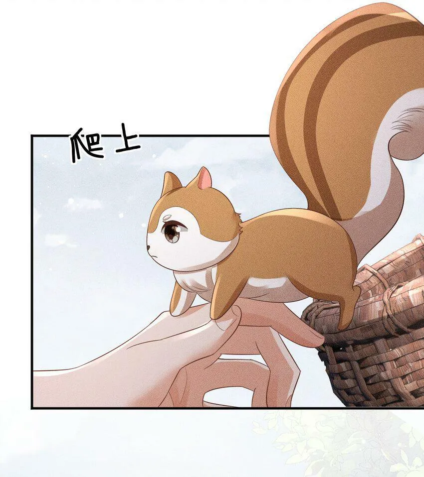 第18话 炖兔子？ 第43页