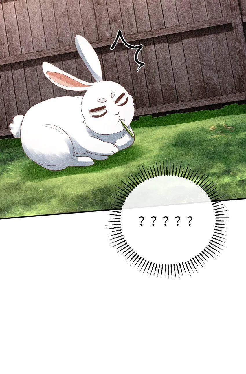 第18话 炖兔子？ 第52页