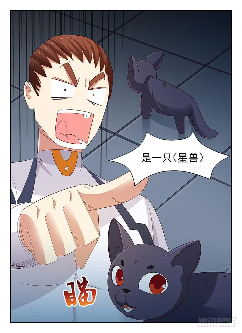 51 第2页