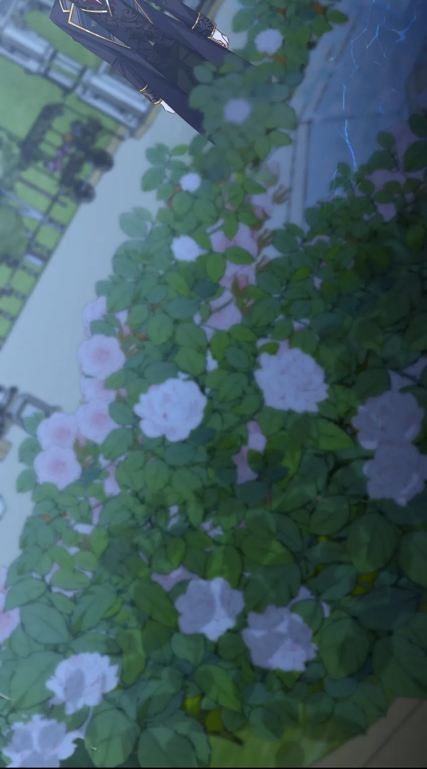 008 一见钟情 第126页