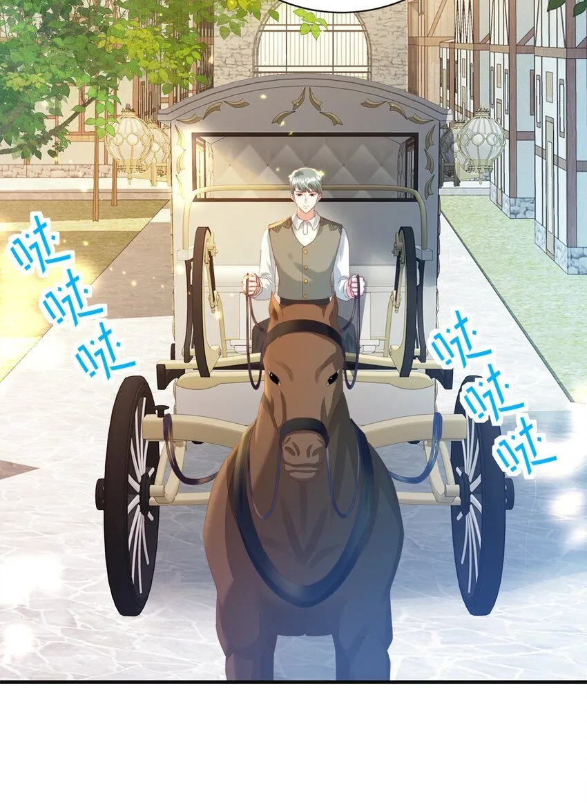 048 洛特·霍兰德 第74页