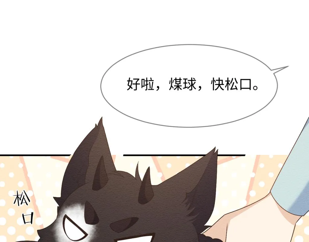 第14话 崽崽和人吵架了？！ 第27页