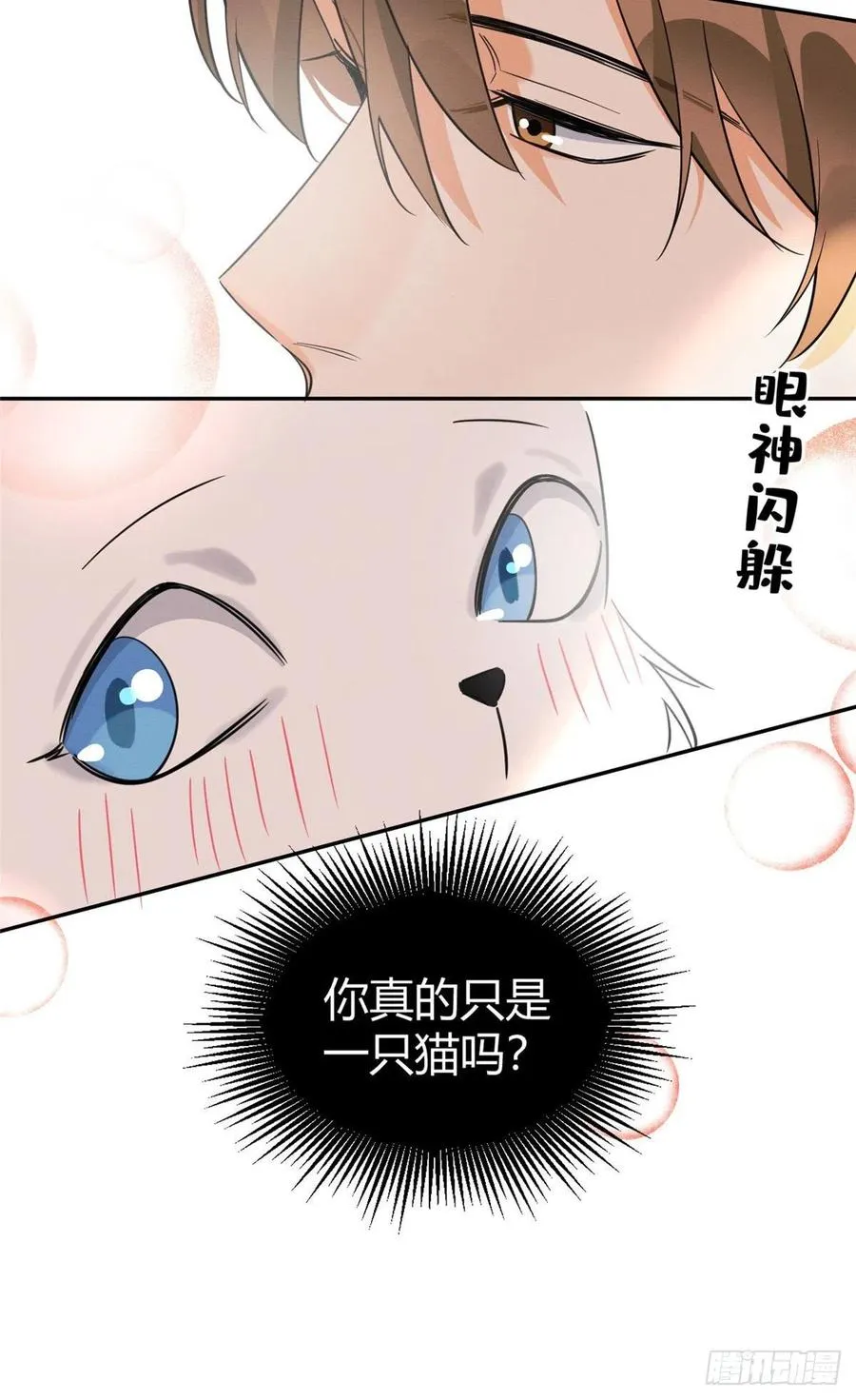 第34话 人猫CP 第32页