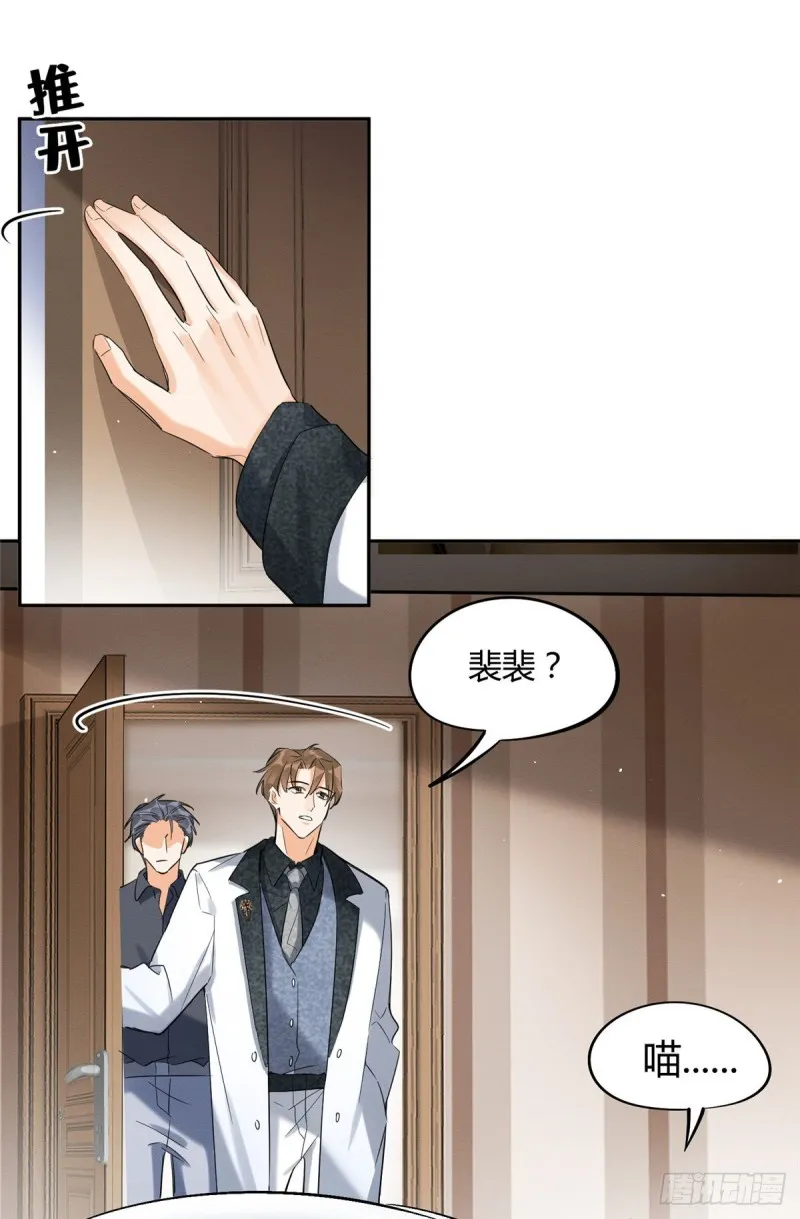 第35话 猫猫病啦 第7页
